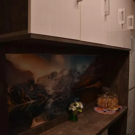 Appartement Ultracentral Piata Muzeului *