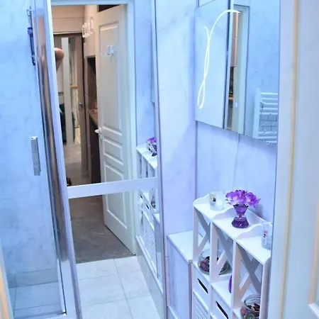 Apartment Ultracentral Piata Muzeului *