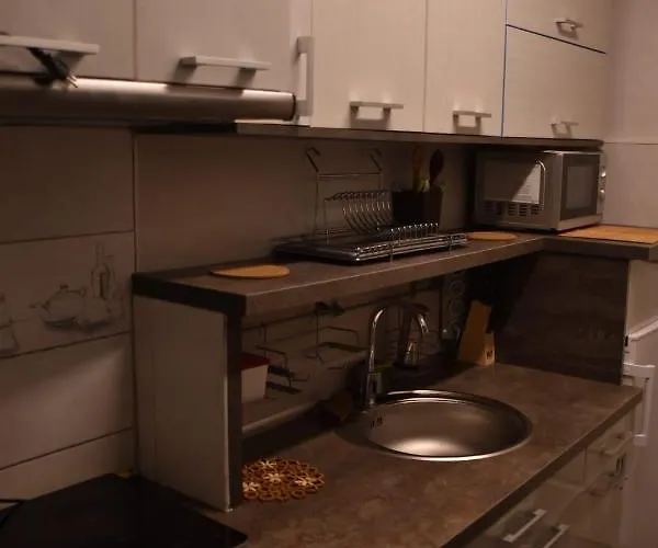 アパート Ultracentral Piata Muzeului クルージュ＝ナポカ