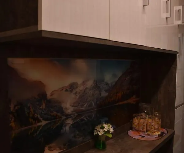 アパート Ultracentral Piata Muzeului *