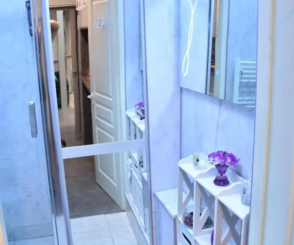 Apartment Ultracentral Piata Muzeului *